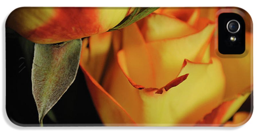 Raw Flowers 6 - Phone Case