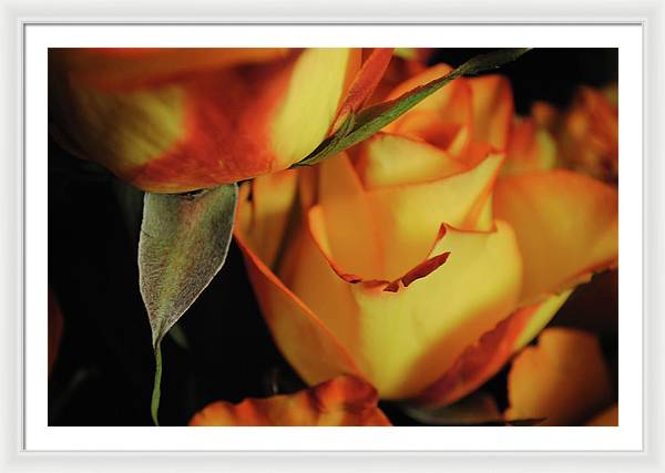 Raw Flowers 6 - Framed Print