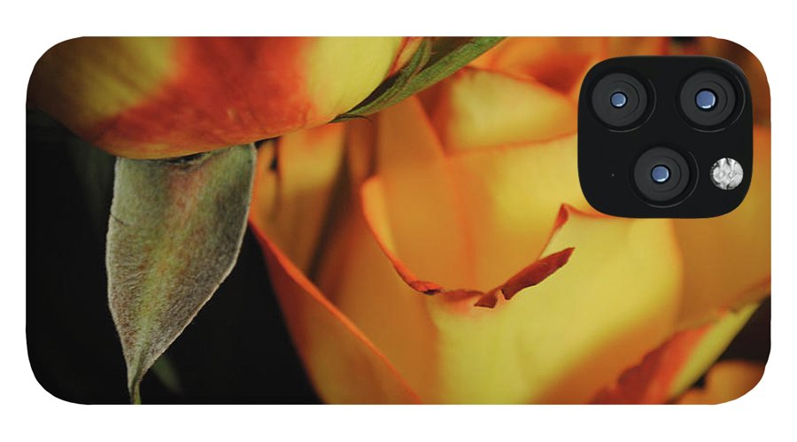 Raw Flowers 6 - Phone Case