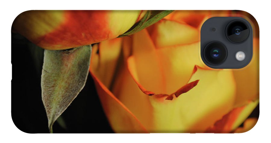 Raw Flowers 6 - Phone Case