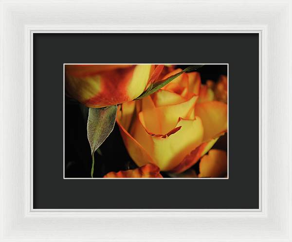 Raw Flowers 6 - Framed Print
