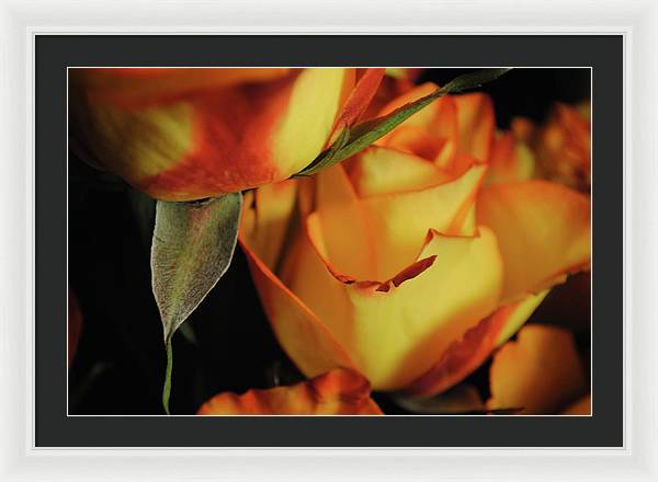 Raw Flowers 6 - Framed Print