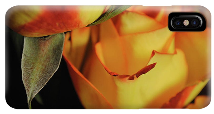 Raw Flowers 6 - Phone Case