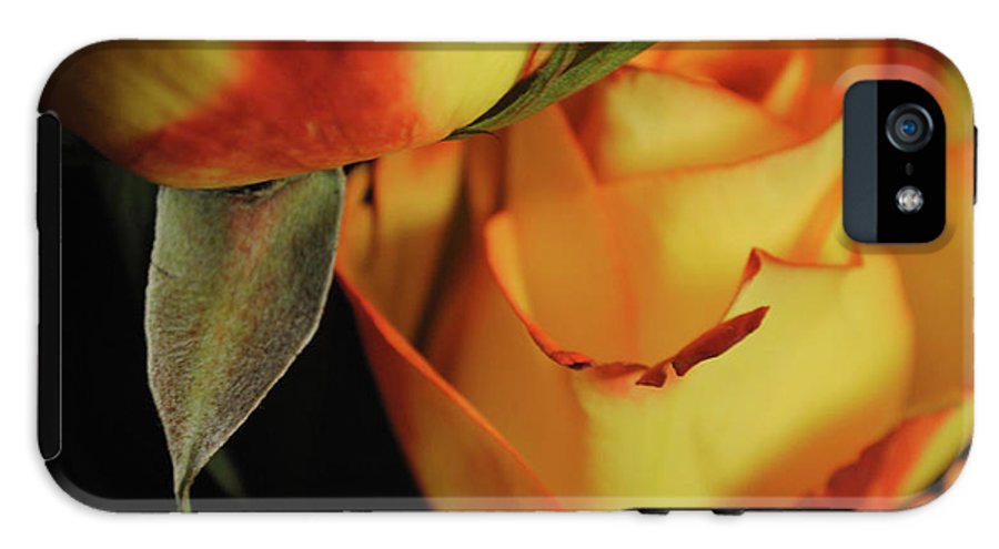 Raw Flowers 6 - Phone Case