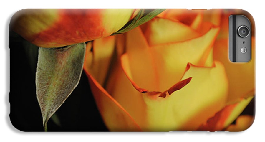 Raw Flowers 6 - Phone Case