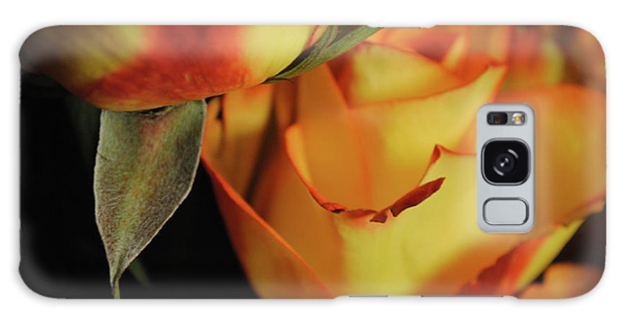 Raw Flowers 6 - Phone Case