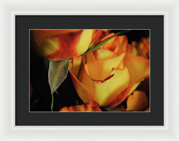 Raw Flowers 6 - Framed Print