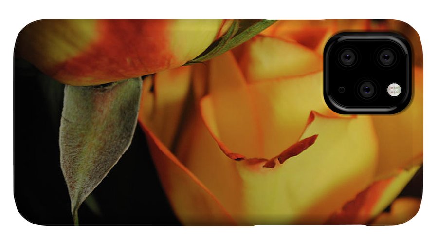 Raw Flowers 6 - Phone Case