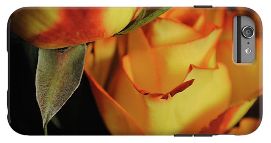 Raw Flowers 6 - Phone Case