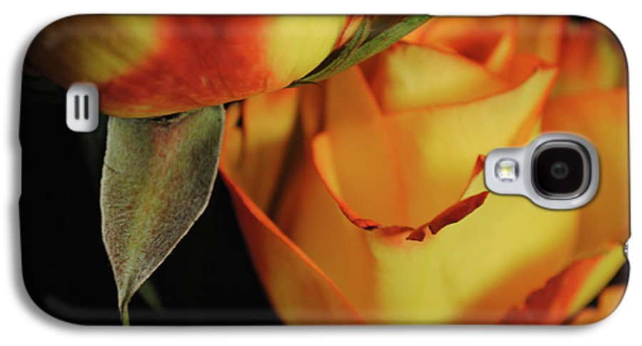 Raw Flowers 6 - Phone Case