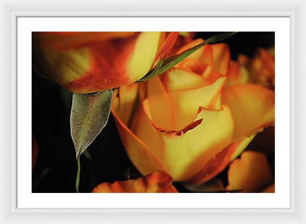 Raw Flowers 6 - Framed Print