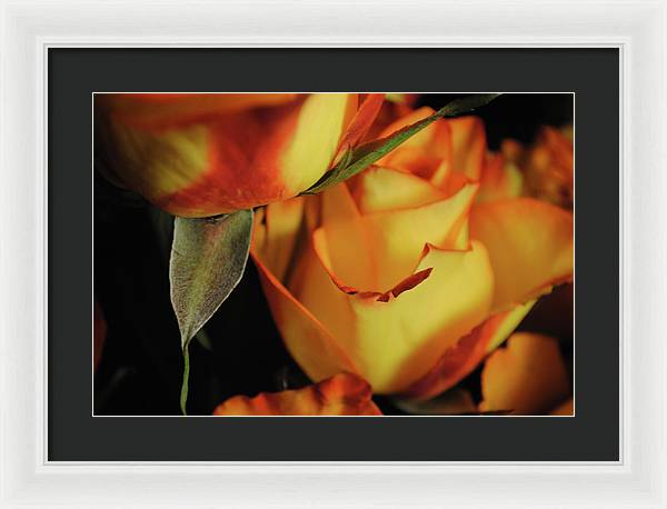 Raw Flowers 6 - Framed Print