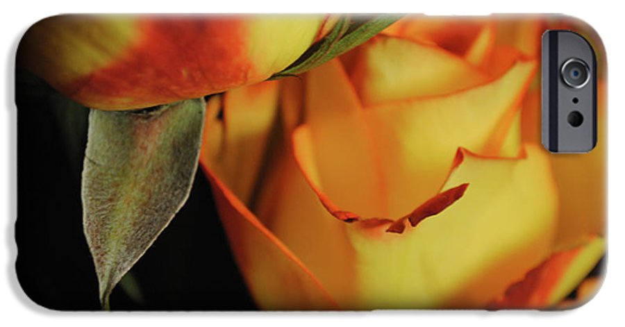 Raw Flowers 6 - Phone Case