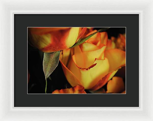 Raw Flowers 6 - Framed Print