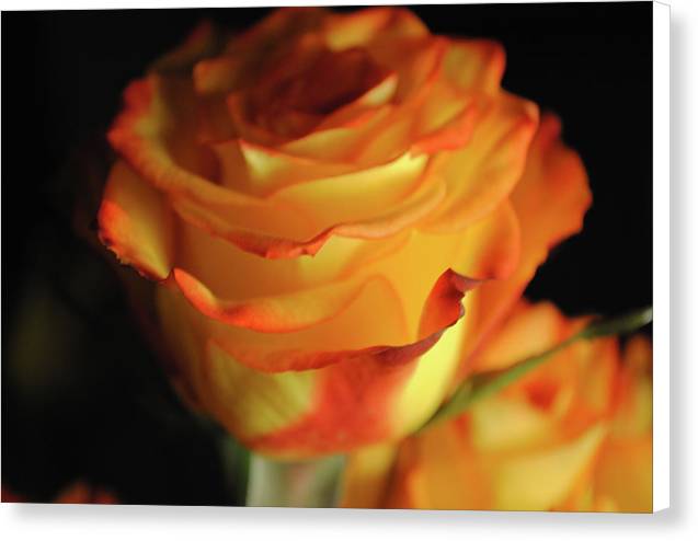 Raw Flowers 7 - Canvas Print
