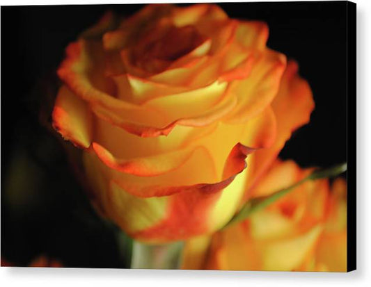 Raw Flowers 7 - Canvas Print