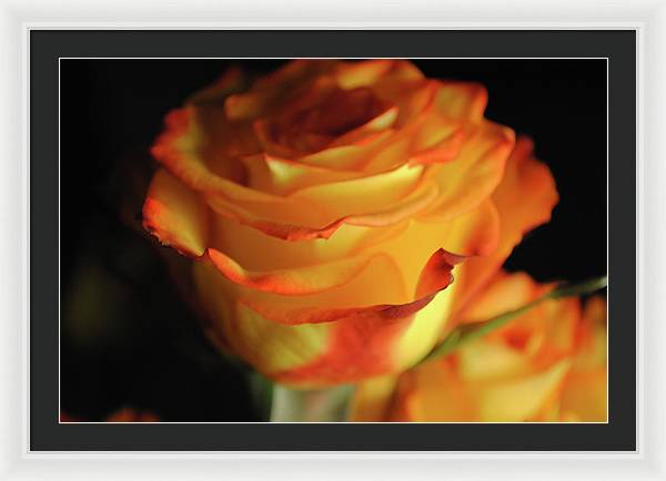 Raw Flowers 7 - Framed Print