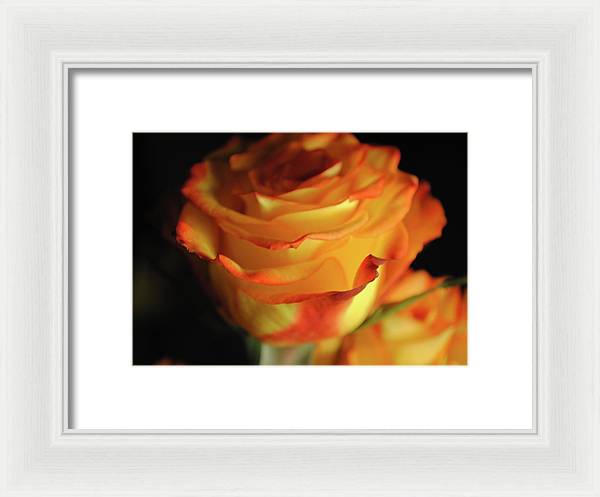 Raw Flowers 7 - Framed Print