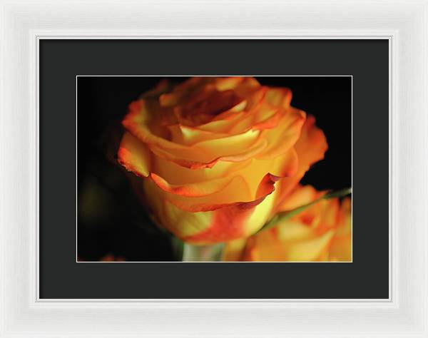 Raw Flowers 7 - Framed Print
