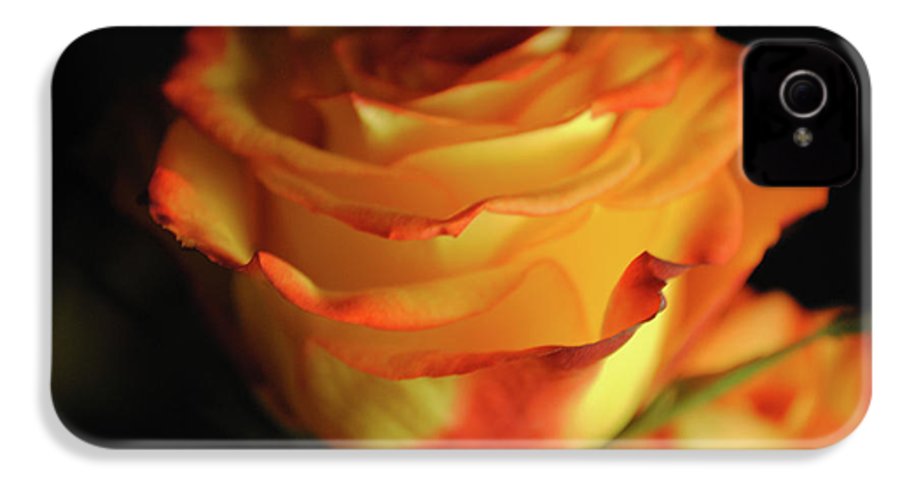 Raw Flowers 7 - Phone Case