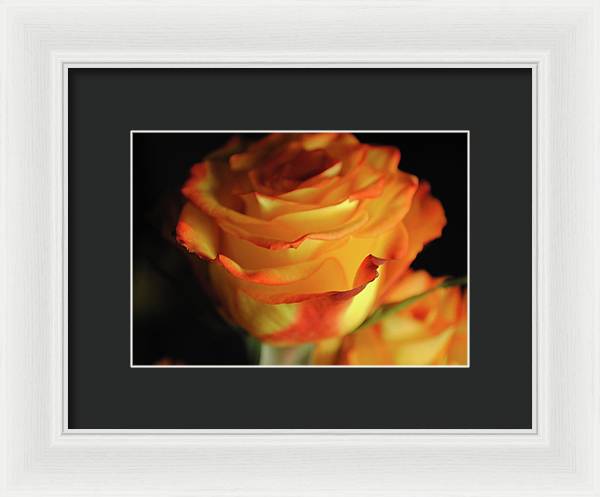 Raw Flowers 7 - Framed Print