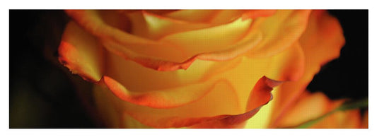 Raw Flowers 7 - Yoga Mat