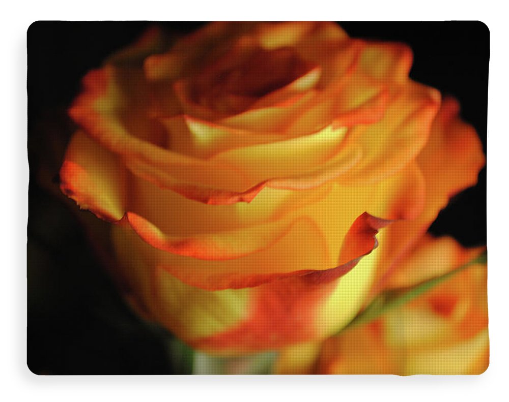Raw Flowers 7 - Blanket