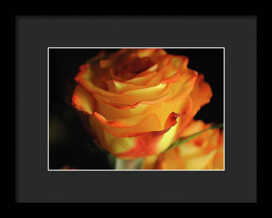 Raw Flowers 7 - Framed Print