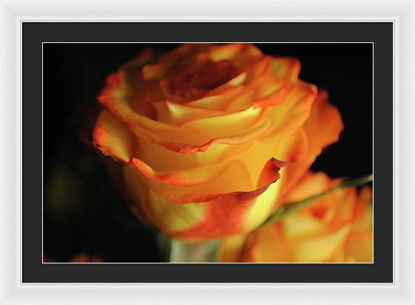 Raw Flowers 7 - Framed Print