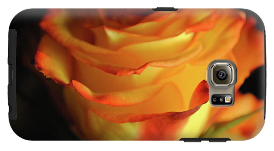 Raw Flowers 7 - Phone Case