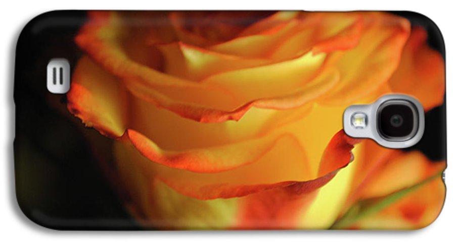 Raw Flowers 7 - Phone Case