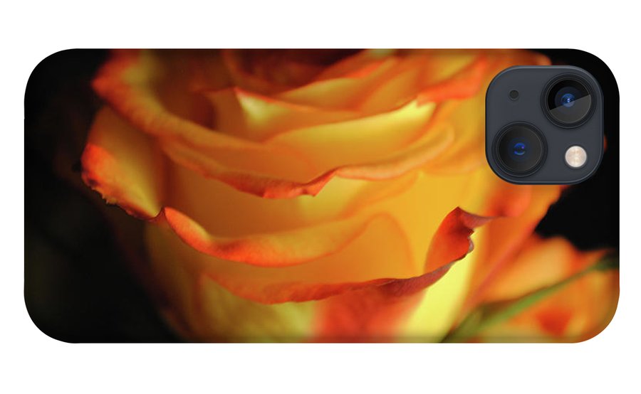Raw Flowers 7 - Phone Case
