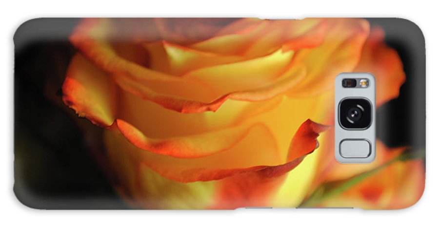 Raw Flowers 7 - Phone Case