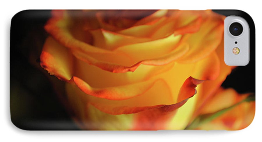 Raw Flowers 7 - Phone Case