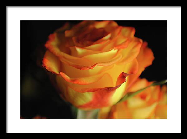 Raw Flowers 7 - Framed Print