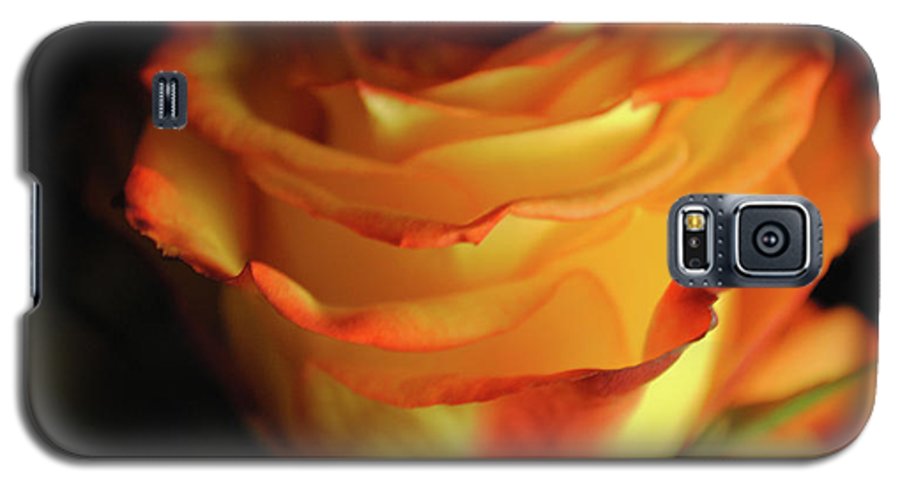 Raw Flowers 7 - Phone Case