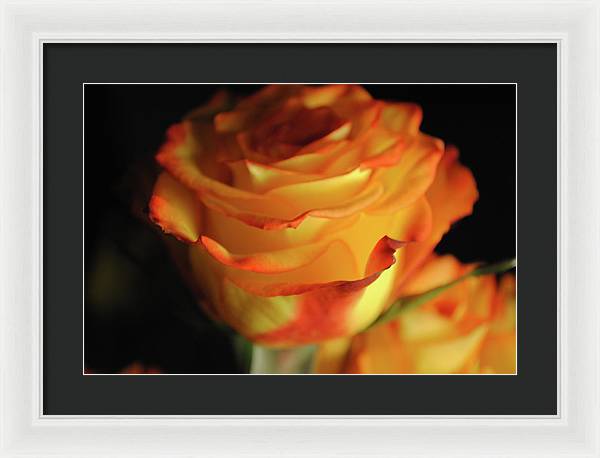 Raw Flowers 7 - Framed Print