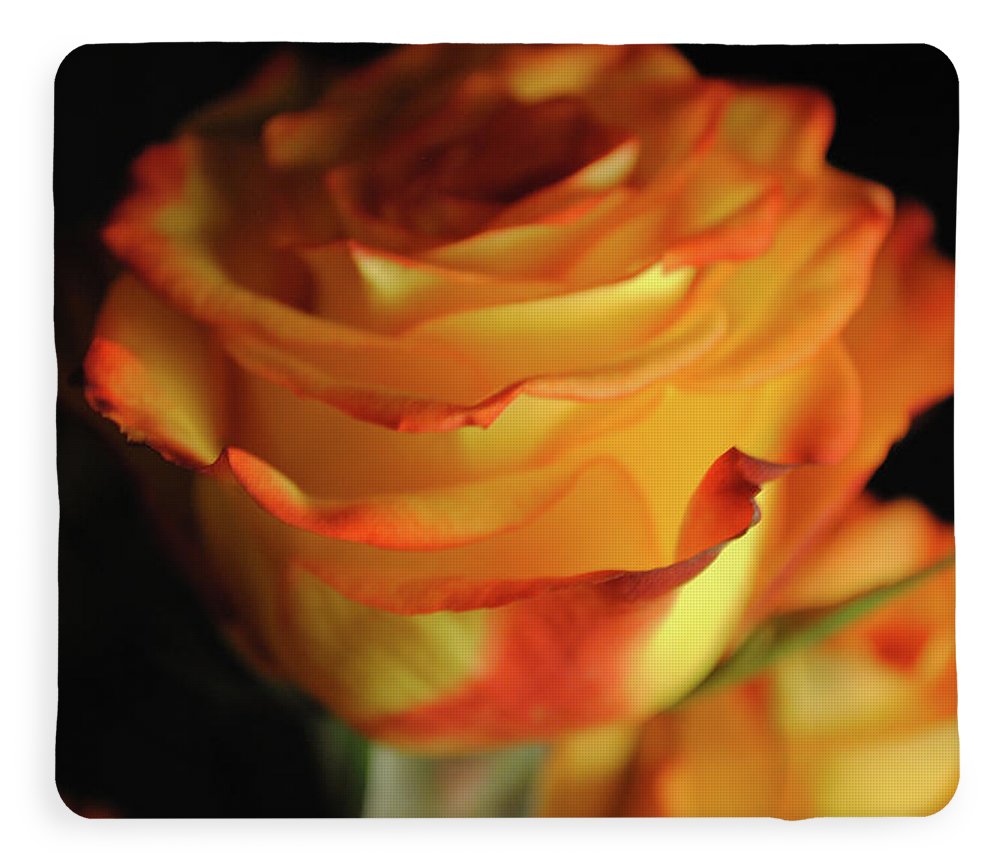 Raw Flowers 7 - Blanket