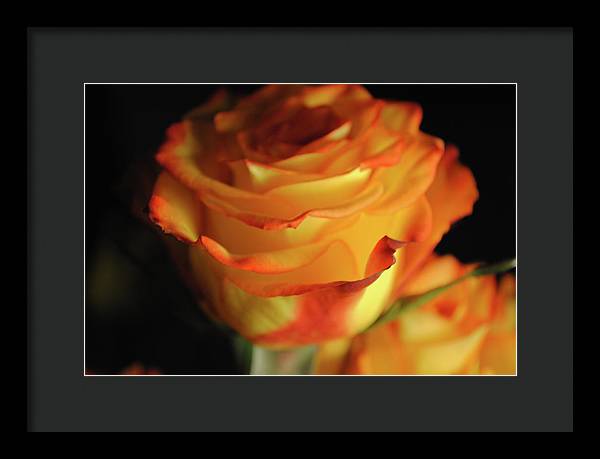 Raw Flowers 7 - Framed Print