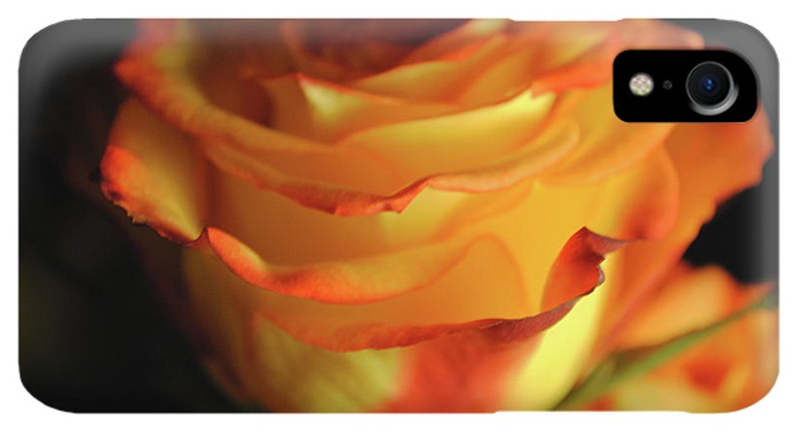 Raw Flowers 7 - Phone Case