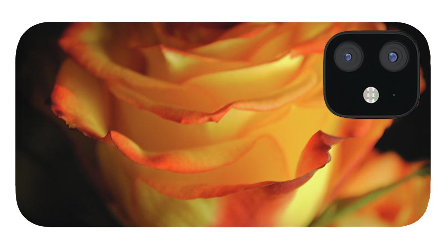 Raw Flowers 7 - Phone Case