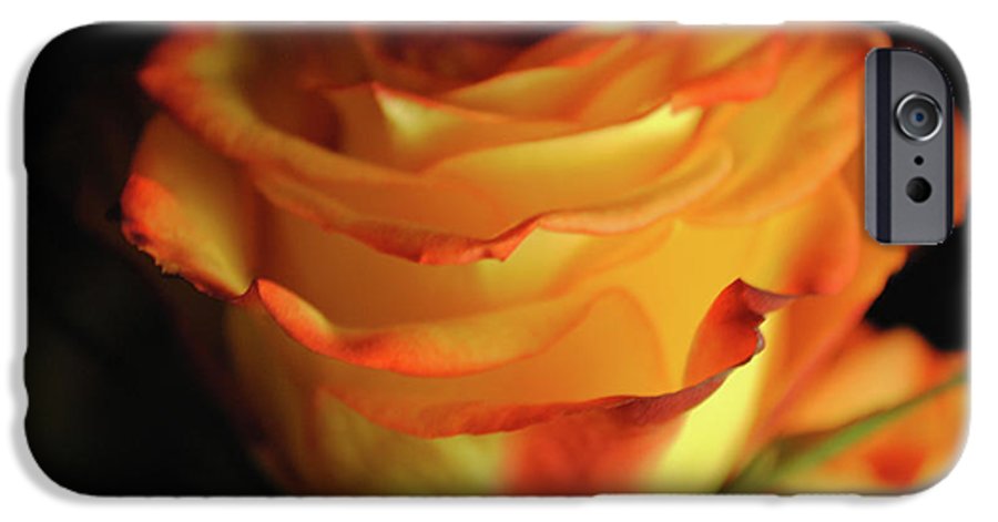 Raw Flowers 7 - Phone Case
