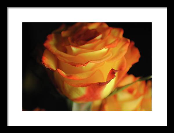 Raw Flowers 7 - Framed Print