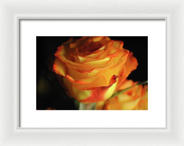 Raw Flowers 7 - Framed Print