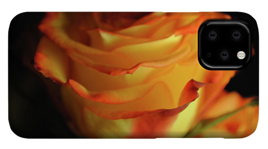 Raw Flowers 7 - Phone Case