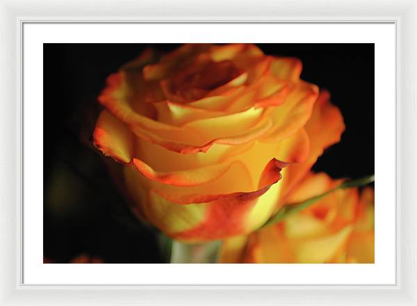 Raw Flowers 7 - Framed Print
