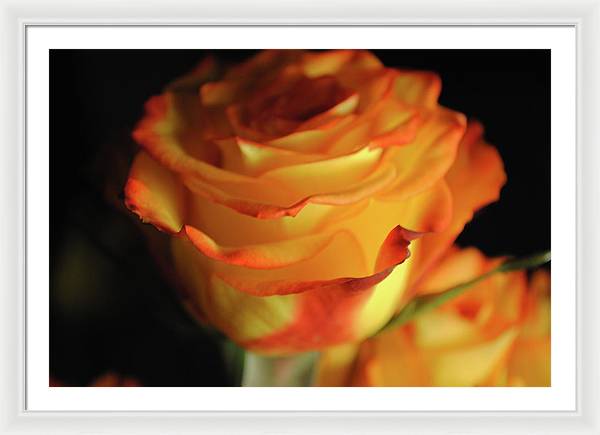 Raw Flowers 7 - Framed Print