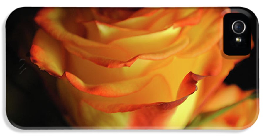 Raw Flowers 7 - Phone Case