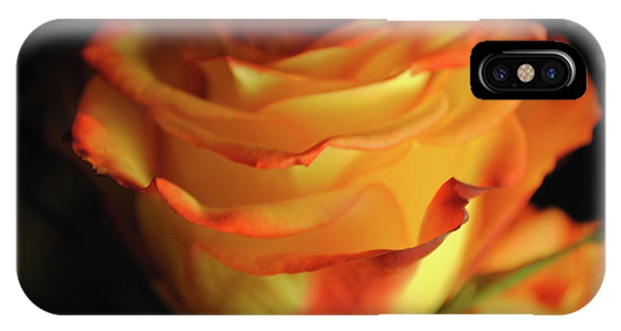 Raw Flowers 7 - Phone Case
