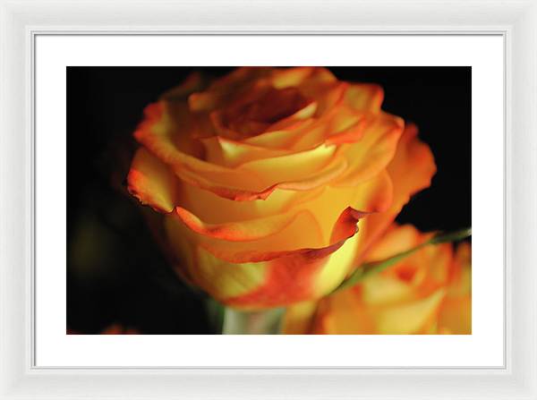 Raw Flowers 7 - Framed Print